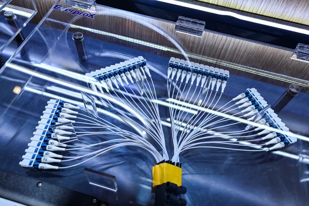 1iaXyCYPHkeAFzv7p4jnwqXibTN76icU5UOc2aRgpXgEnu3CnWAnODlHQAQ2fbgwQ9nVl6LsfZnM7x0cia8xvqMeeA-9fb0125b-5d44-4011-a50a-64118403fbcb (1).jpg